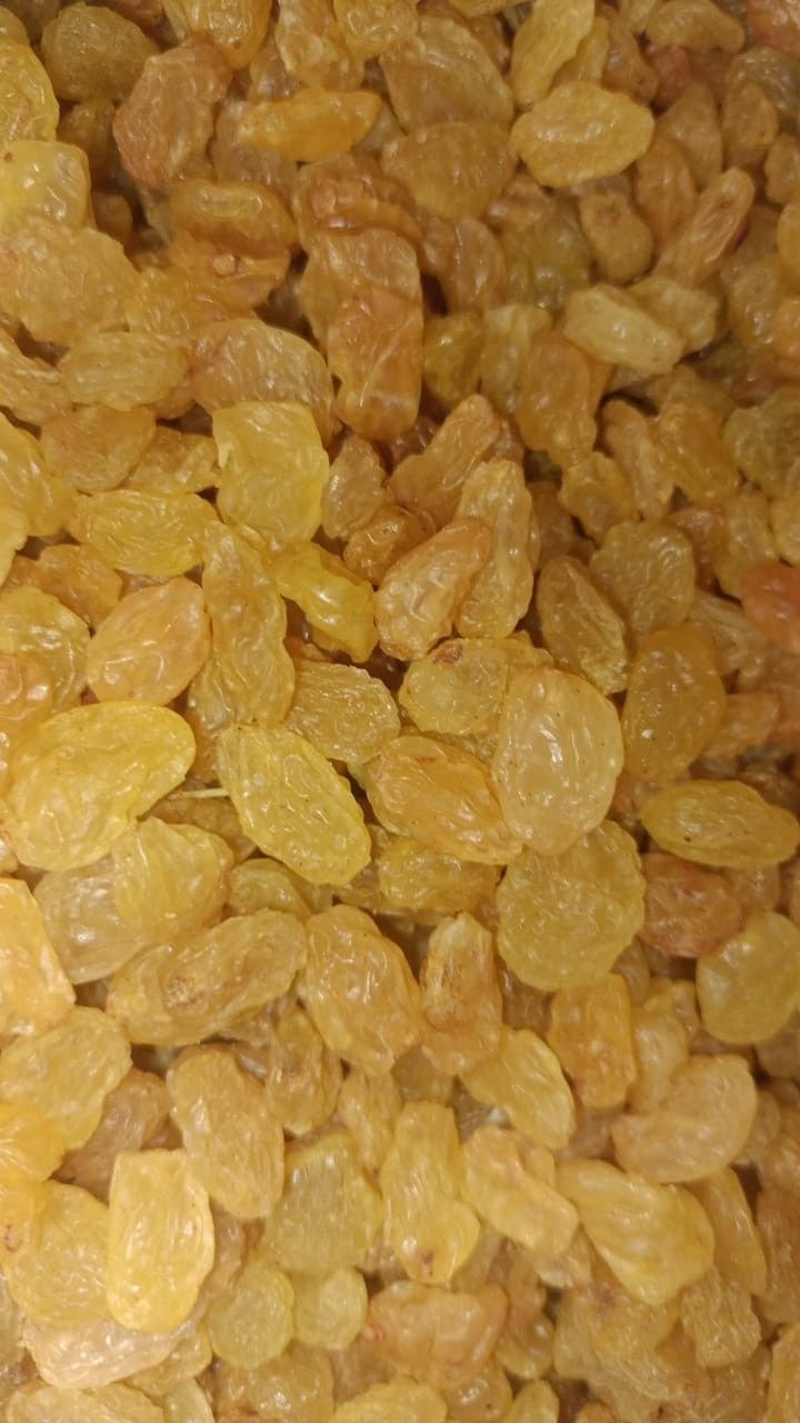 Indian Raisins