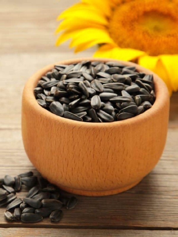 Sunflower seeds